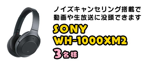 SONY WH-1000XM2