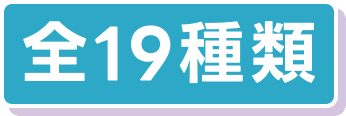 19種類
